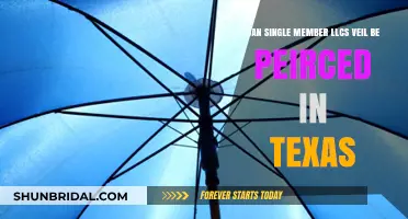 Can Texas Courts Pierce the Veil of Single-Member LLCs?