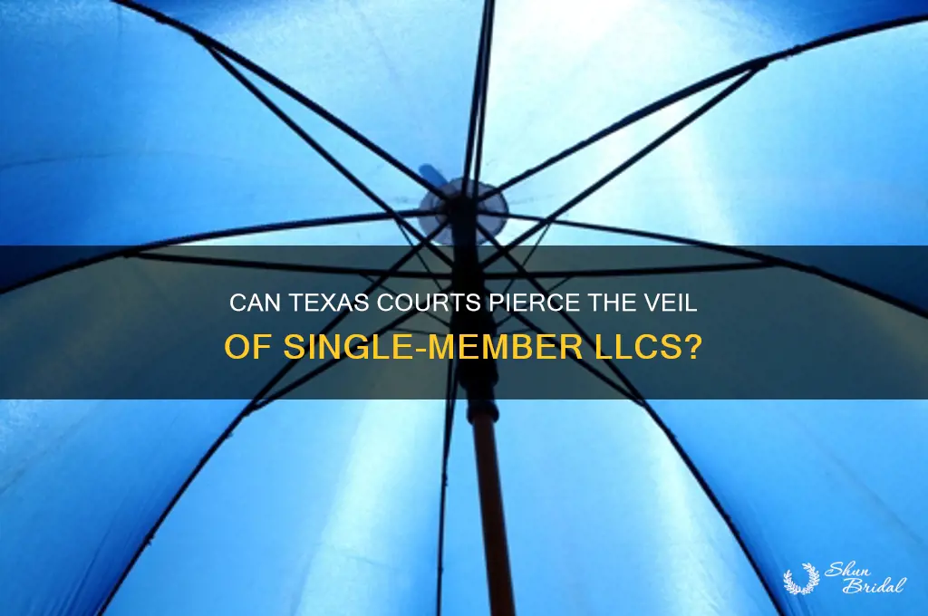 can single member llcs veil be peirced in texas