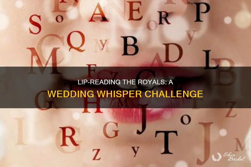 can someone read lips from royal wedding