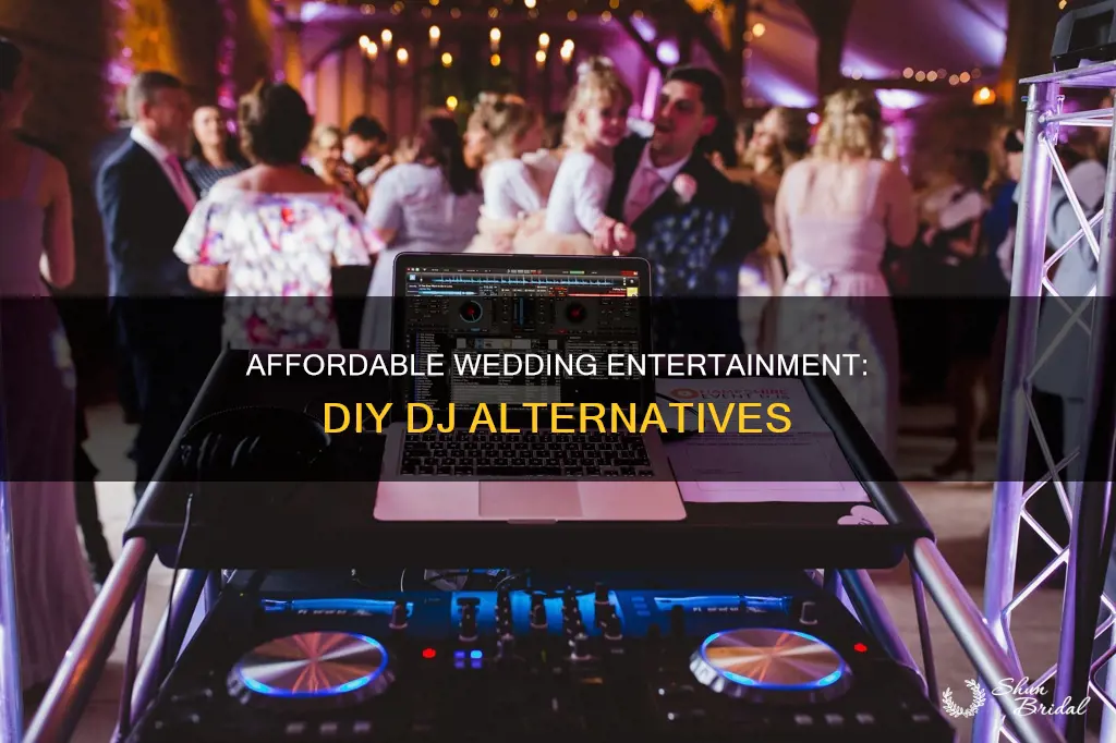 can t afford a dj for my wedding