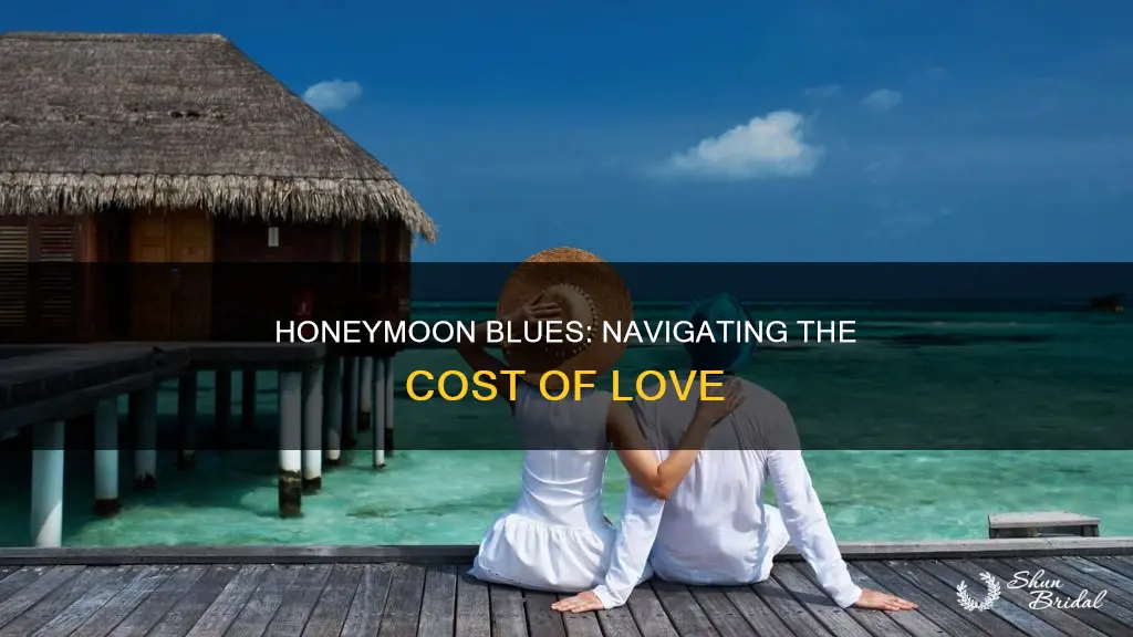 can t afford a honeymoon