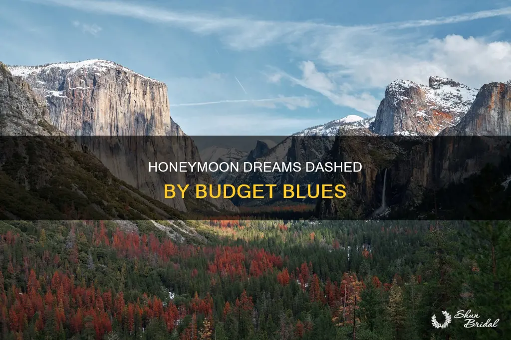can t afford a honeymoon