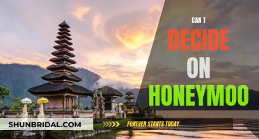Honeymoon Haven'ts: Our Indecisive Adventure
