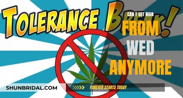 The Mystery of Weed Tolerance: Why Can't I Get High?