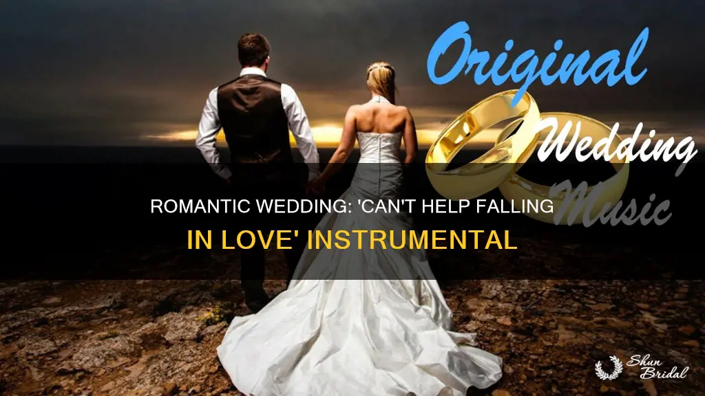 can t help falling in love instrumental wedding