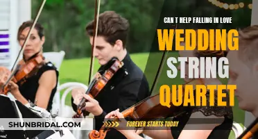 String Quartet Makes Your Wedding Day Magical