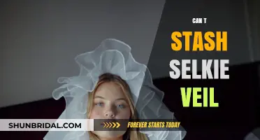 Can't Stash Selkie Veil? Tips for Managing Your Inventory Efficiently