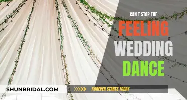 Joyous Wedding Dance: 'Can't Stop the Feeling!