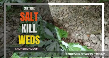 Salt as Herbicide: Killing Weeds with Table Salt