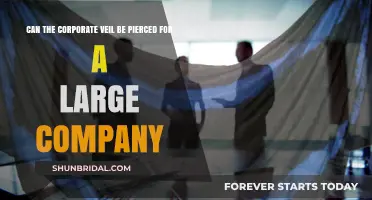 Piercing the Corporate Veil: Can Large Companies Be Held Personally Liable?