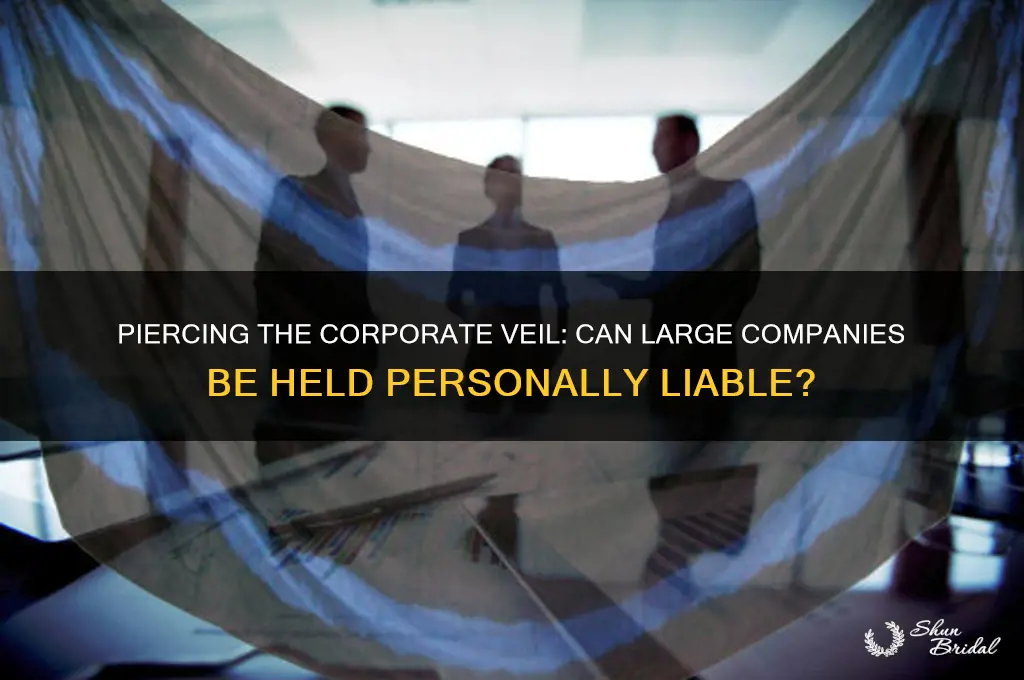 can the corporate veil be pierced for a large company