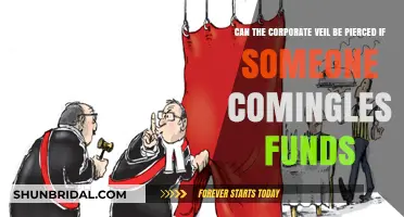Piercing the Corporate Veil: Risks of Commingling Funds in Business