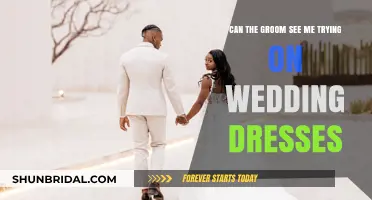 Groom's Glimpse: Wedding Dress Try-On