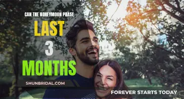 The Honeymoon Phase: 3 Months of Bliss?