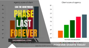 Honeymoon Phase: Everlasting or Fleeting?