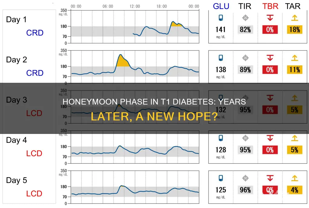 can the honeymoon phase start yeats later for t1 diabetes