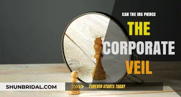 Can the IRS Pierce the Corporate Veil? Legal Insights