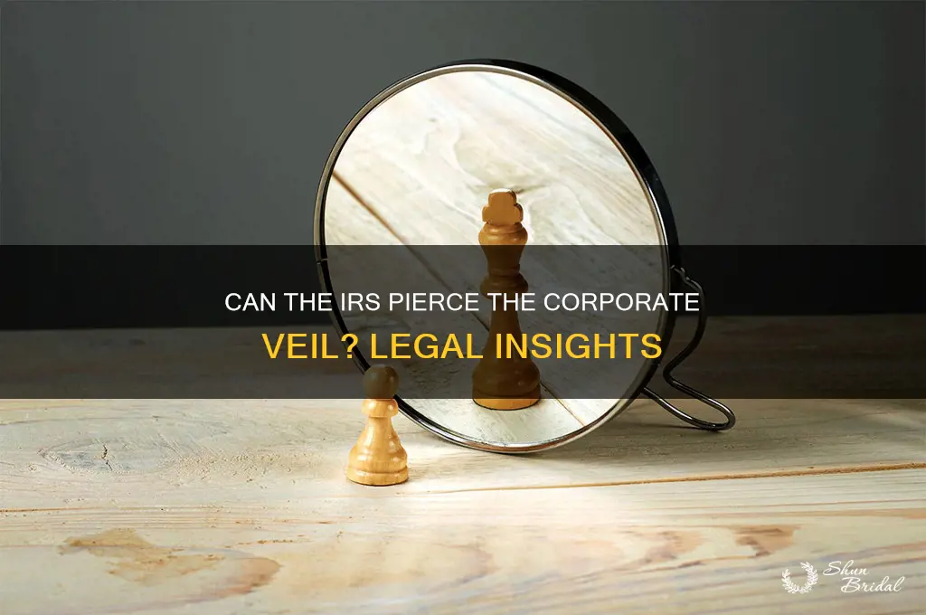 can the irs pierce the corporate veil