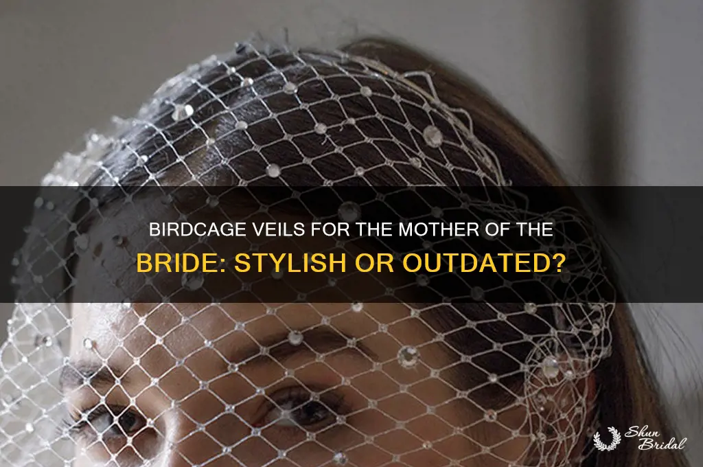 can the mother of the bride wear a birdcage veils