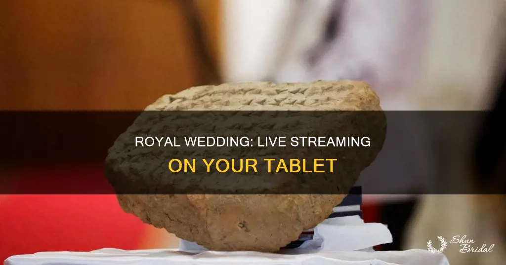 can the royal wedding be seen on my tablet