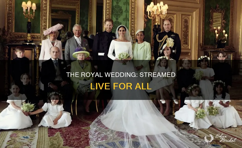 can the royal wedding be streamed