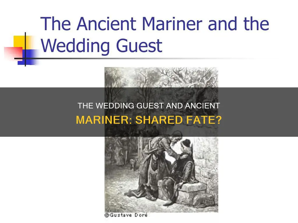 can the the wedding guest relate to the ancient mariner