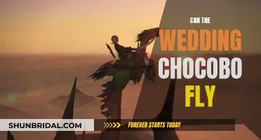 Chocobo Flying Abilities: Can They Soar on Your Big Day?