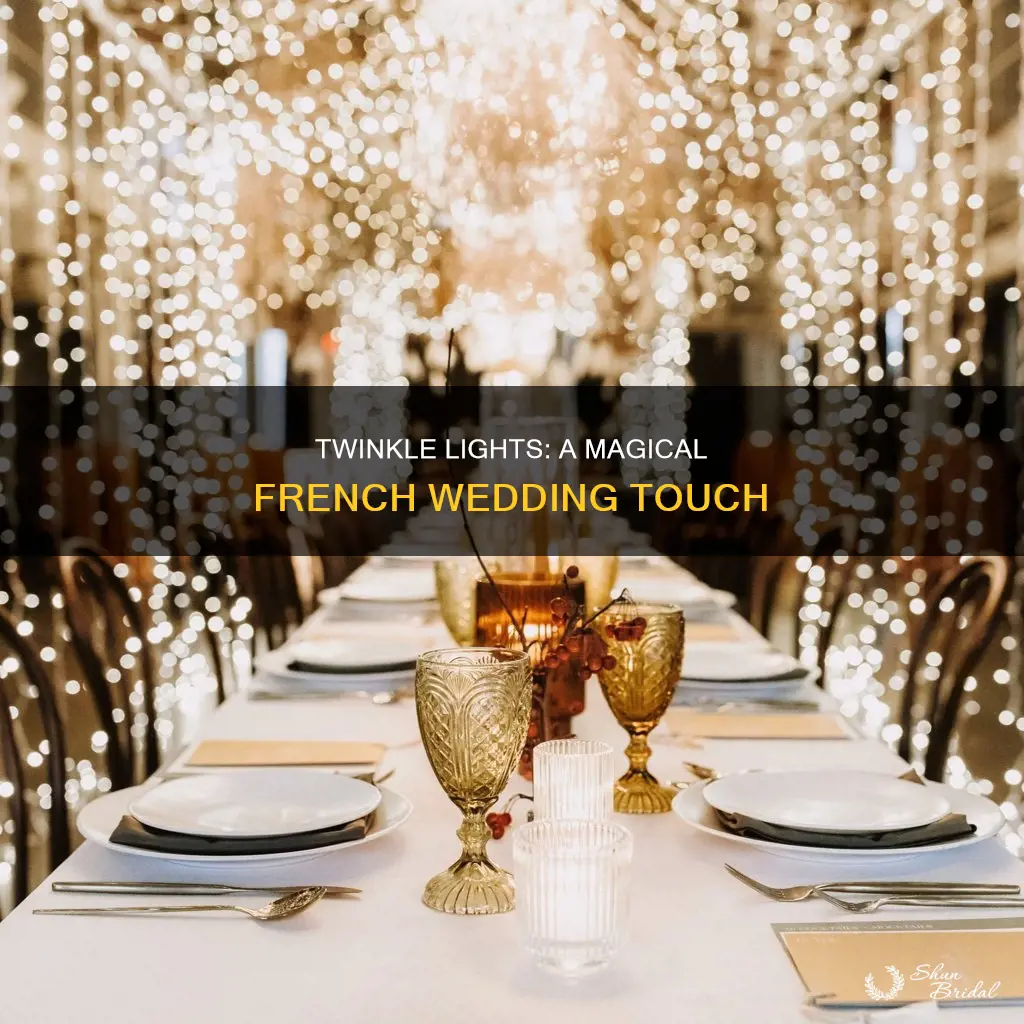 can use twinkle lights in france wedding