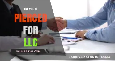 Piercing the Veil: Can LLC Owners Face Personal Liability?