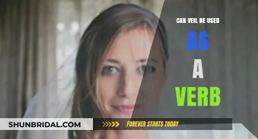 Exploring the Verb Usage of Veil: Possibilities and Contexts