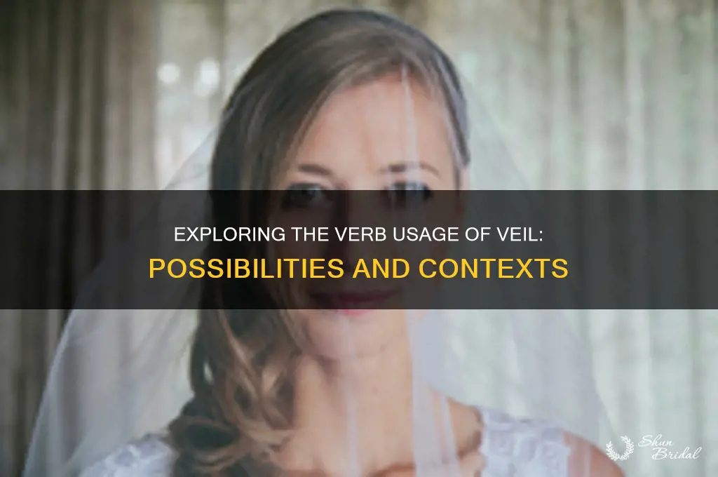can veil be used as a verb