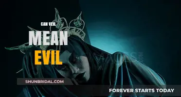 Veil vs. Evil: Unraveling the Symbolic Duality of Concealment