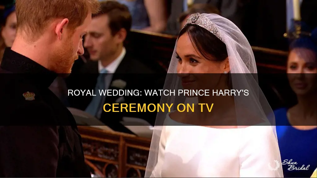 can we watch prince harry wedding on tv