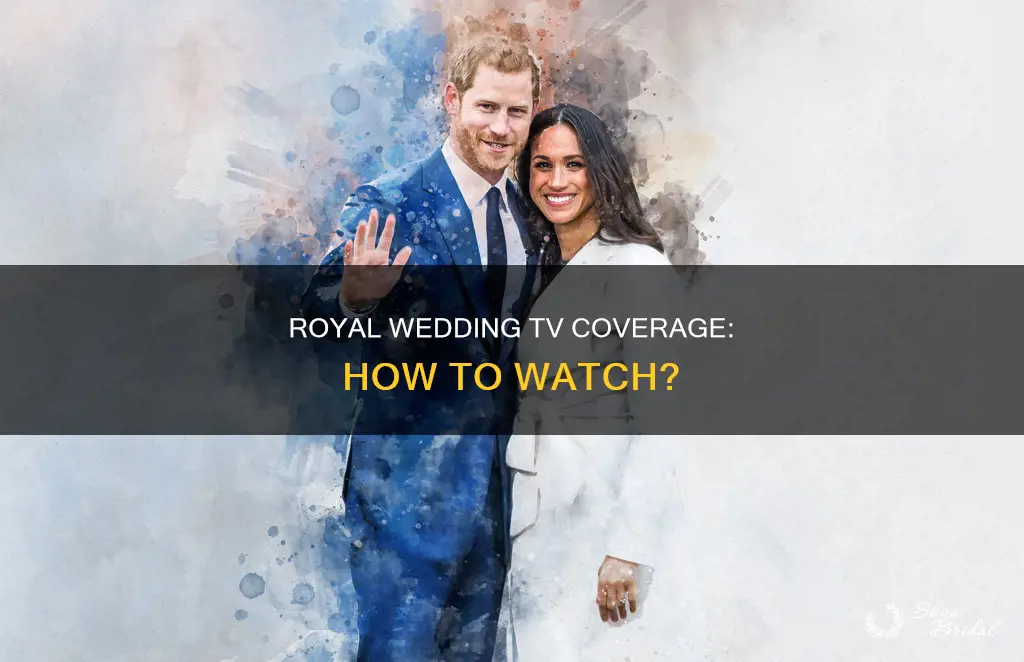 can we watch royal wedding on tv