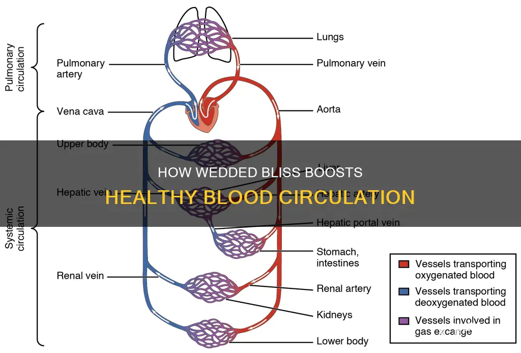 can wed ehlp blood circulation