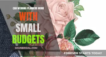 Wedding Planners: Small Budgets, Big Dreams, Creative Solutions