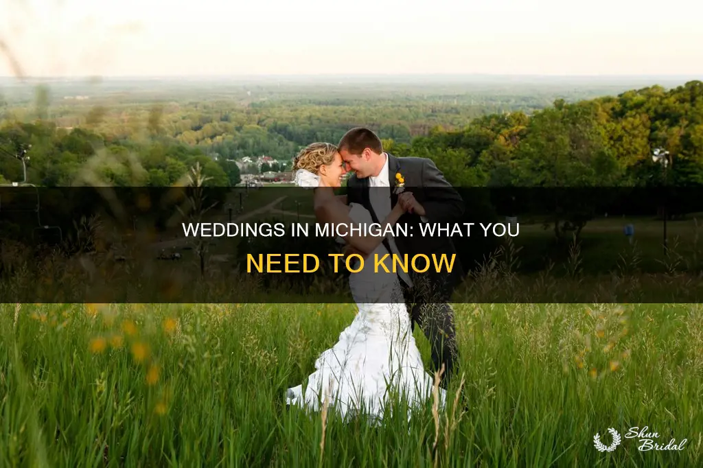 can weddings happen in Michigan