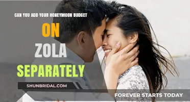 Honeymoon Budget on Zola: How to Add It Separately