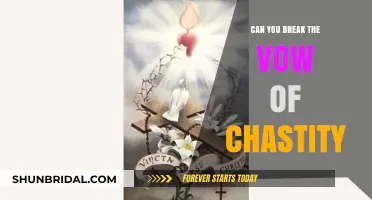 Breaking the Vow of Chastity: Possibility, Consequences, and Personal Choices