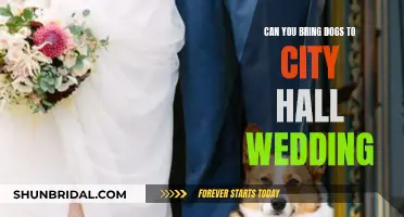 City Hall Weddings: Can You Bring Your Dog?