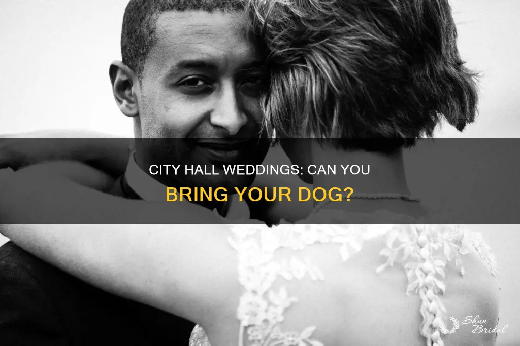 can you bring dogs to city hall wedding