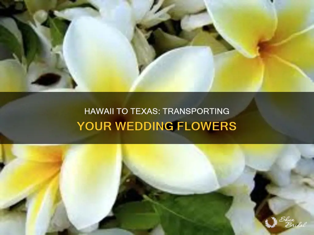 can you bring your wedding flowers from hawaii to texas