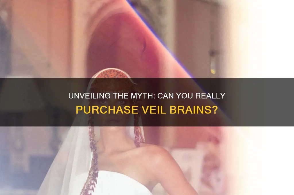 can you buy veil brains