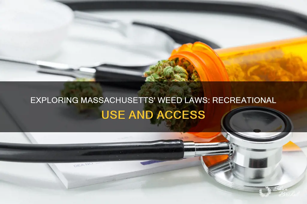 can you buy wed recreationally in ma