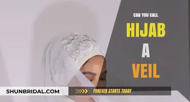 Hijab vs. Veil: Understanding the Cultural and Religious Significance