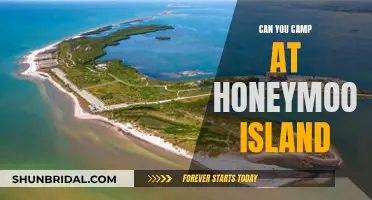 Honeymoon Island Camping: A Guide to Paradise