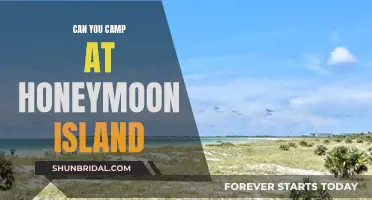 Honeymoon Island Camping: An Unforgettable Experience