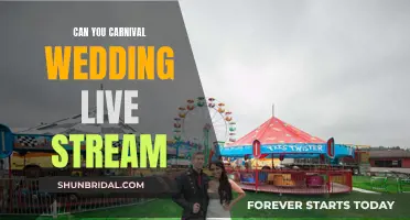 Carnival Wedding Live Stream: A Unique Celebration