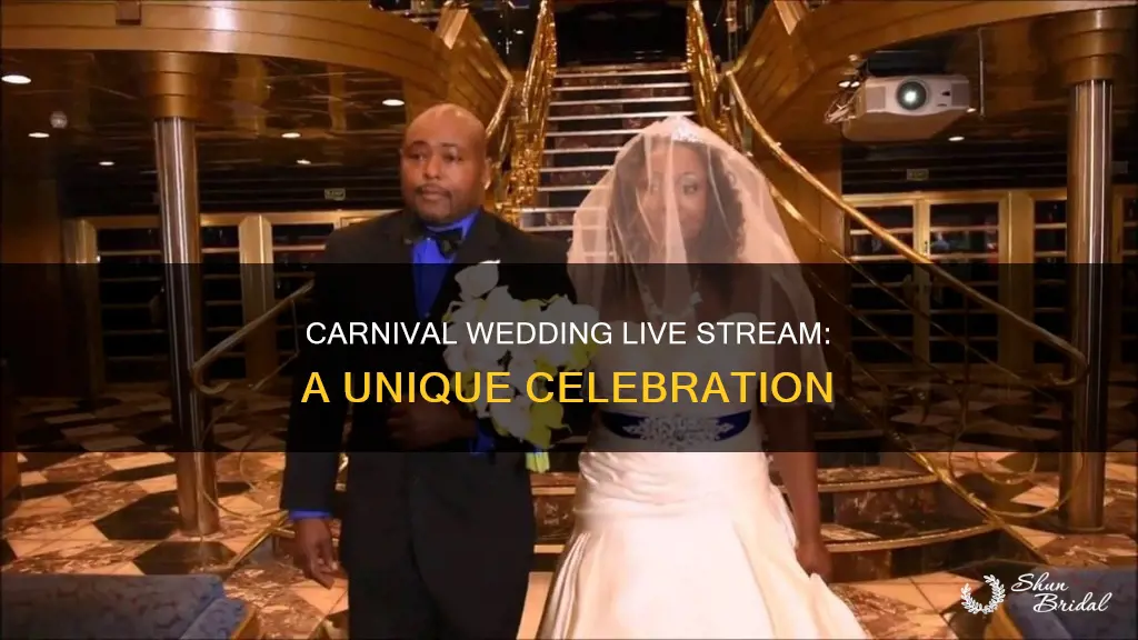 can you carnival wedding live stream