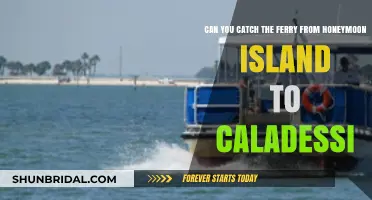 Honeymoon Island to Caladesi Ferry: Your Ultimate Guide to Island Hopping